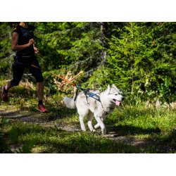 Non-Stop Dogwear Freemotion