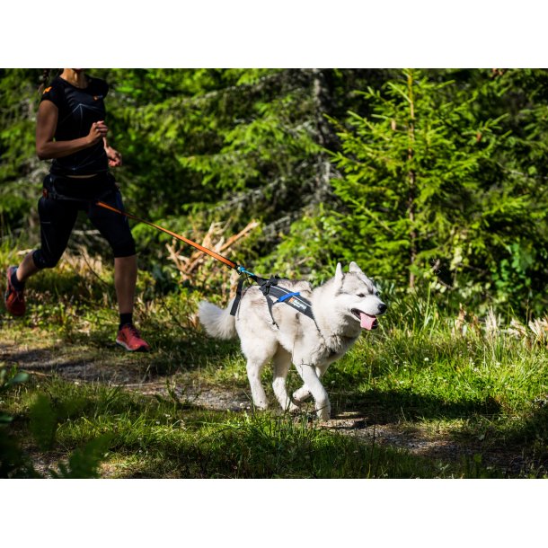 Non-Stop Dogwear Freemotion