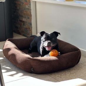 Petlando - Luke Ortho Hundeseng, M�rkebrun Fl�jl