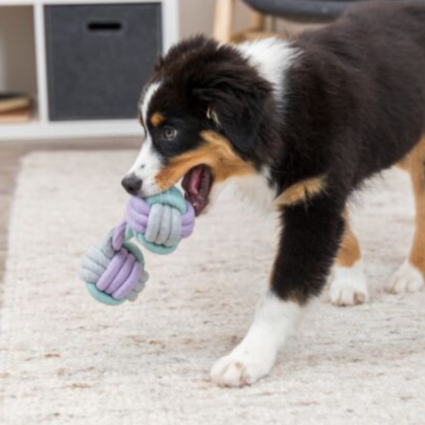 Hvalpe/junior dumbell reb