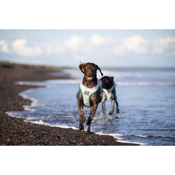 Non-stop dogwear - K�levest til hunde