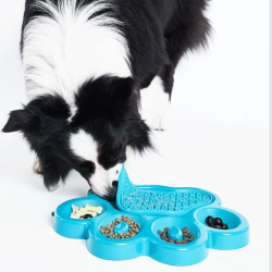 Paw 2i1 slow feeder &amp; lick pad