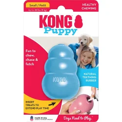 Kong puppy