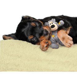 Kong WildKnots Bears