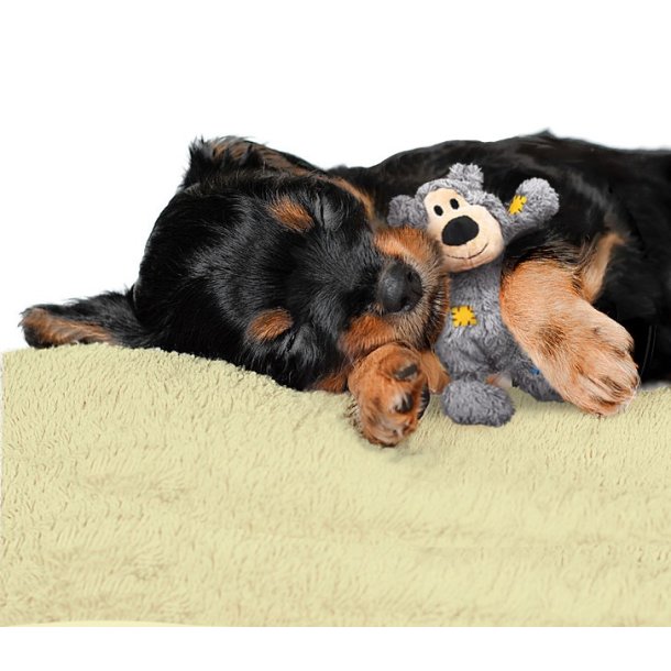 Kong WildKnots Bears