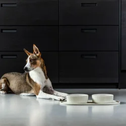 Dog Copenhagen - Kronborg Sk�l