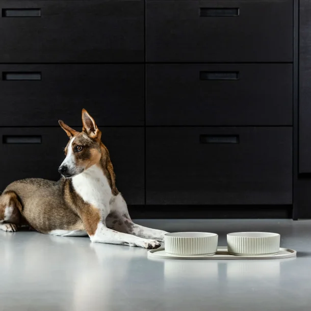 Dog Copenhagen - Kronborg Sk�l