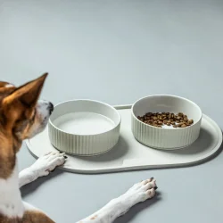 Dog Copenhagen - Kronborg Sk�l