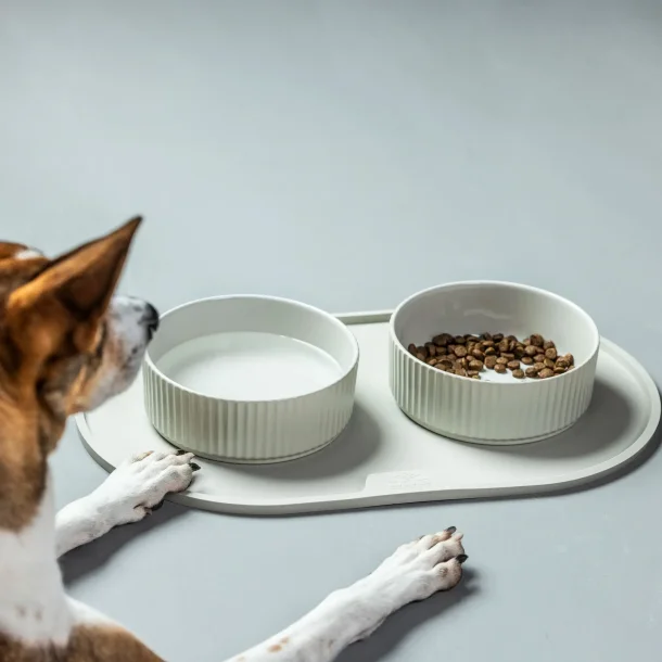 Dog Copenhagen - Kronborg Sk�l