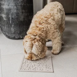 District 70 Quest Lickmat - Merengue