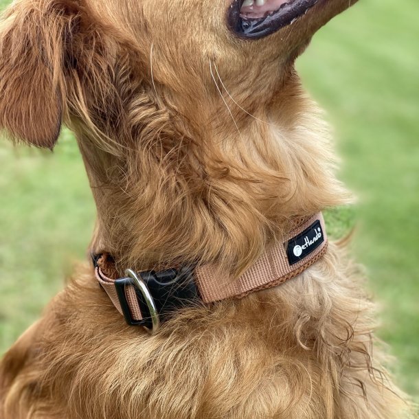 Petlando Mesh Halsbnd - Cognac 