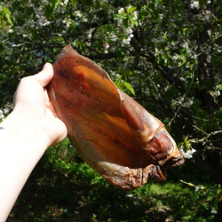 Snack'it Store Okserer Med Inderrer