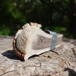 Taki Halvt Krondyrgevir 