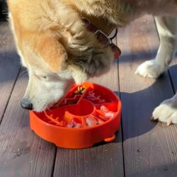 Sodapup Great Outdoors Design Ebowl Slow Feeder