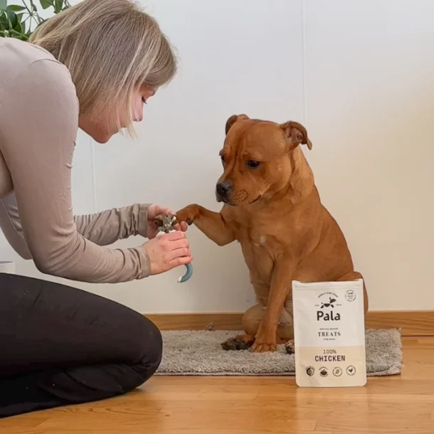 PALA TREATS 100% Kylling, 100g