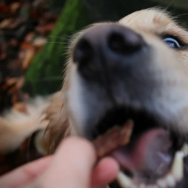 PALA TREATS 100% Kylling, 100g