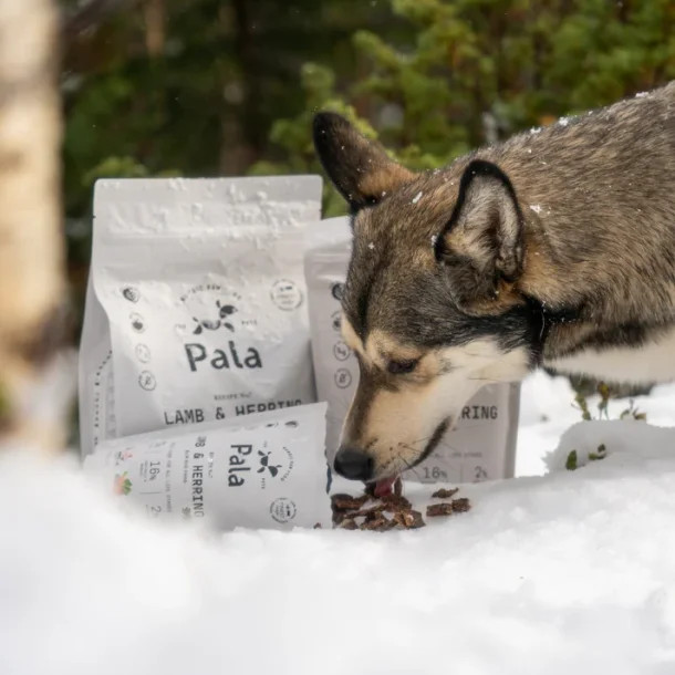 Pala - RAW Premium Fuldfoder - Recipe #7 Lam &amp; Sild