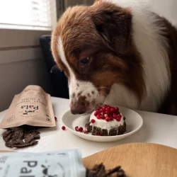 Pala - RAW Premium Fuldfoder - Recipe #4 Kanin, Sild &amp; Laks