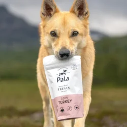 PALA TREATS 100% Kalkun, 100g