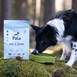 Pala - RAW Premium Fuldfoder - Recipe #3, Oksekd &amp; Laks