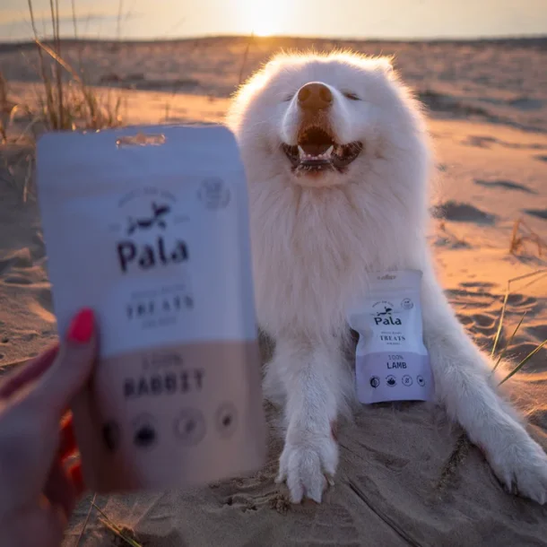 PALA TREATS 100% kanin, 100g