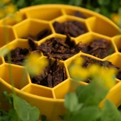 Pala - RAW Premium Fuldfoder - Recipe #2, Kylling &amp; Laks