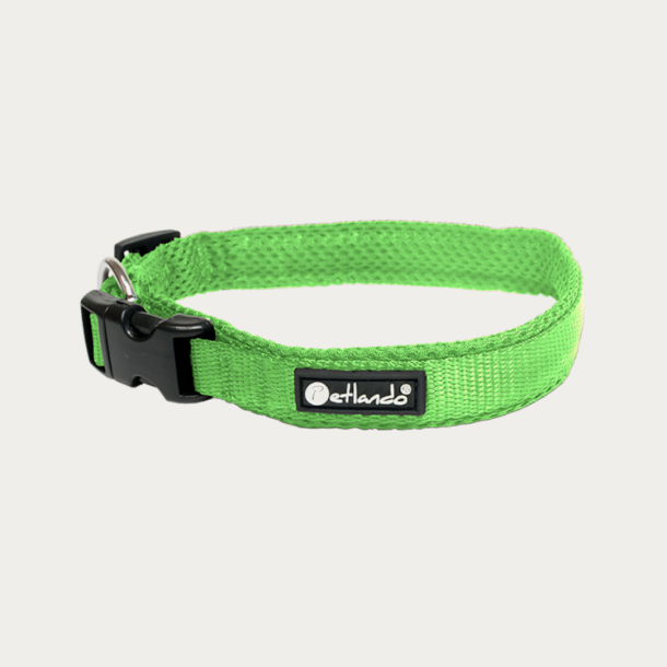 Petlando Mesh Halsbnd - Apple Green