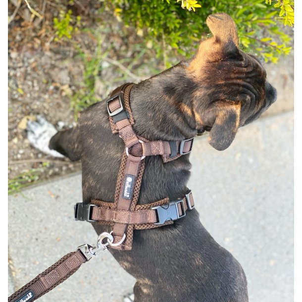 Petlando Y-Comfort Hundesele - Mocha