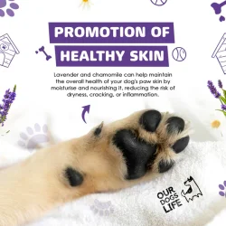 OurDogsLife - No rinse poteskum m. b�rste &amp; h�ndkl�de
