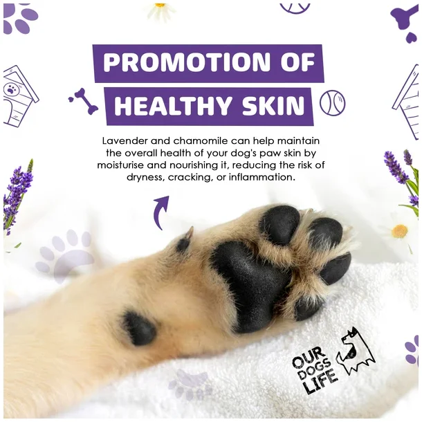 OurDogsLife - No rinse poteskum m. b�rste &amp; h�ndkl�de