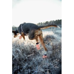 Protector light socks