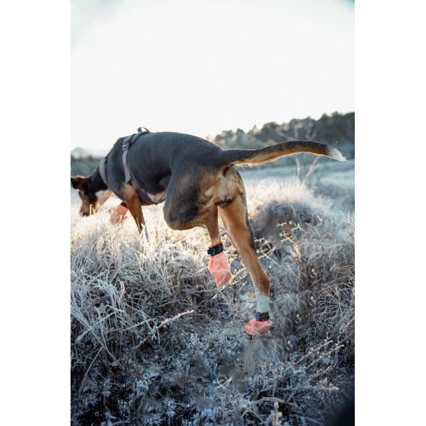 Protector light socks