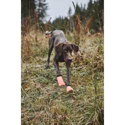 Protector light socks