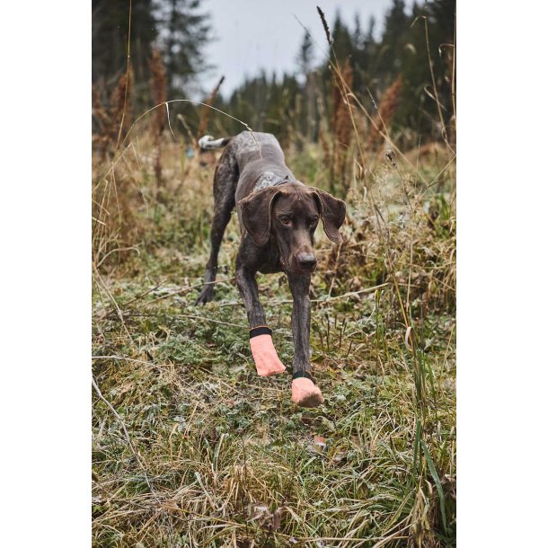 Protector light socks