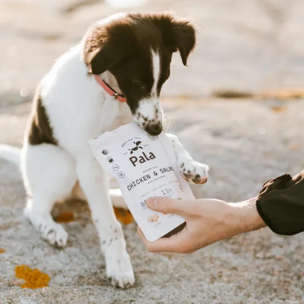 Pala - RAW Premium Fuldfoder - Recipe #2, Kylling &amp; Laks