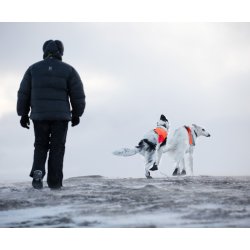 Non-Stop Dogwear - Solid Sock