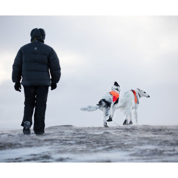 Non-Stop Dogwear - Solid Sock