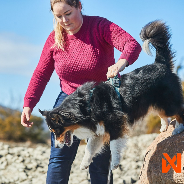 Non-Stop Dogwear Ramble Hundesele - Grn