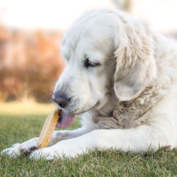 YAKI - Hndlavet Himalaya Cheese Bones