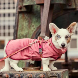 Hurtta - Razzle-Dazzle Midlayer - Beetroot