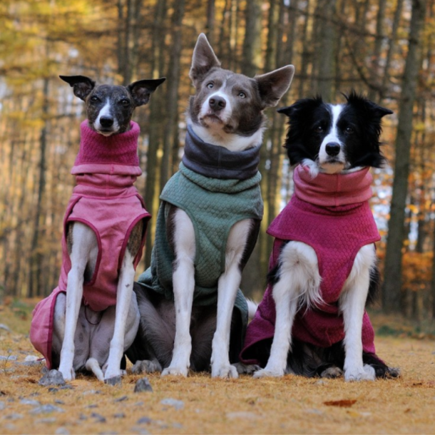 Hurtta - Razzle-Dazzle Midlayer - Beetroot