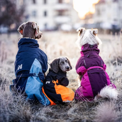 Nonstop Dogwear 2.0 - Glacier dkken | Bl