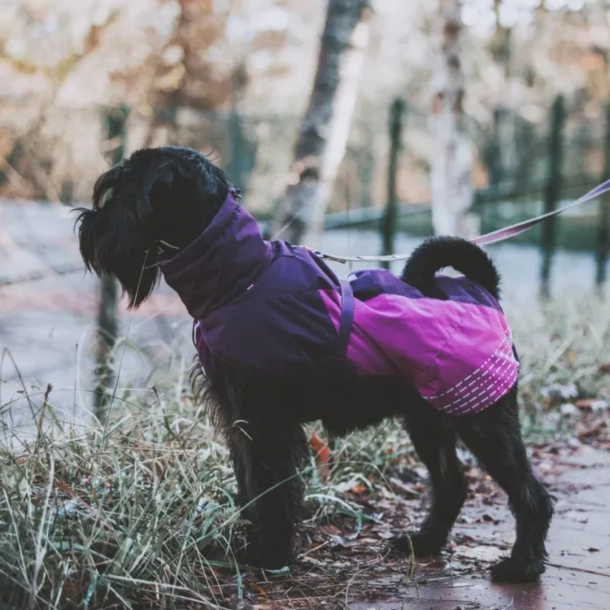 Nonstop Dogwear 2.0 - Glacier dkken | Bl