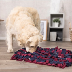 Activity Snuse tppe, 50  34 cm