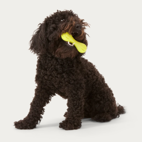 West Paw Flydende legetj Hurley til ihrdige tyggere! 