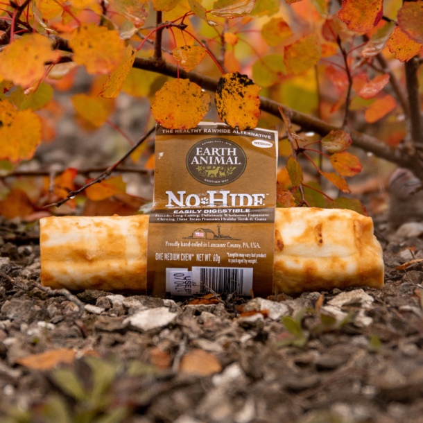 No-Hide Chews - Vildt - Medium ca. 17 cm