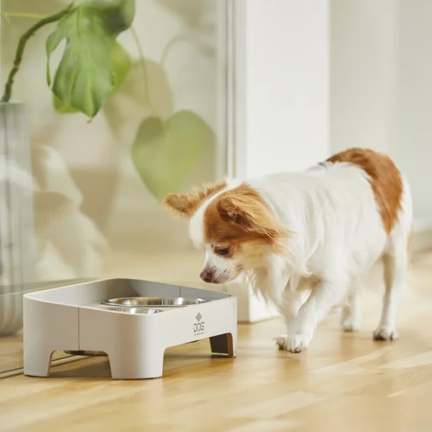 Skagen Food Bar | Oak