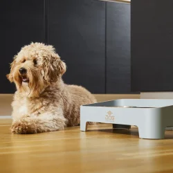 Skagen Food Bar | Oak