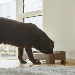 Skagen Food Bar | Oak