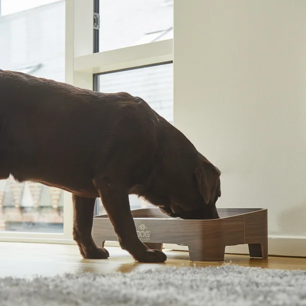 Skagen Food Bar | Oak